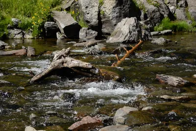 DSC_3832 (Large).JPG